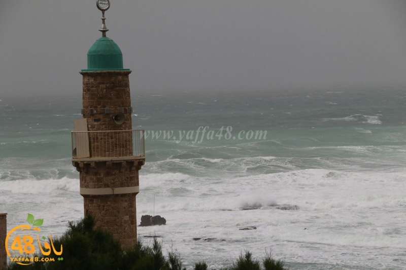 yaffa weahtera (12).jpg